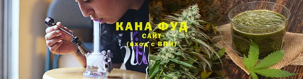 ГАЛЛЮЦИНОГЕННЫЕ ГРИБЫ Аркадак