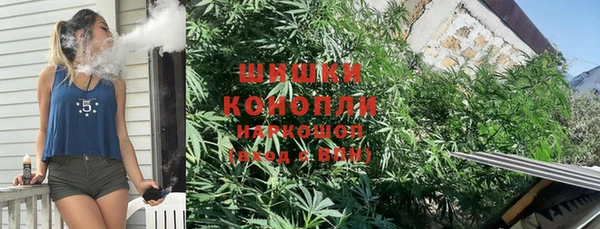 ГАЛЛЮЦИНОГЕННЫЕ ГРИБЫ Аркадак