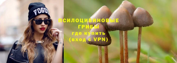 метадон Армянск