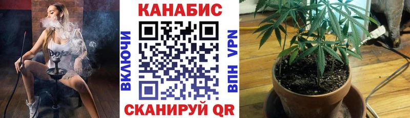 Конопля White Widow  площадка наркотические препараты  Куровское 